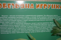 P1270161