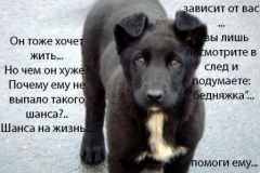 заходим, смотрим!