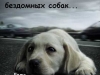 x_4a3a48c7